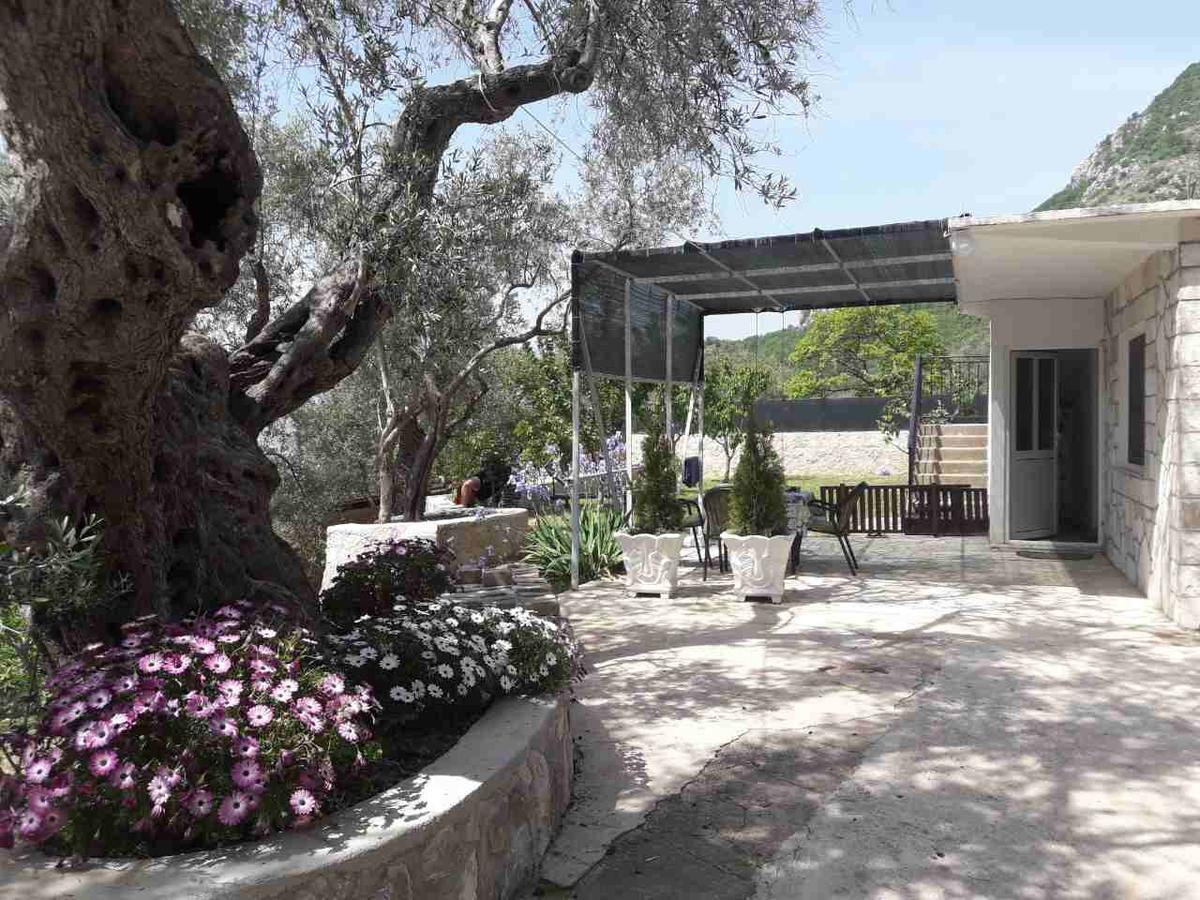 Apartman Nikocevic 도브라 보다 외부 사진