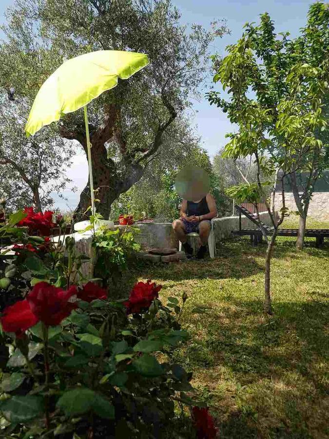 Apartman Nikocevic 도브라 보다 외부 사진